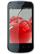 Best available price of Celkon A19 in Italy