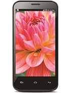 Best available price of Lava Iris 505 in Italy