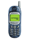 Best available price of Motorola T190 in Italy