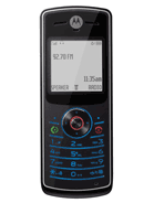 Best available price of Motorola W160 in Italy