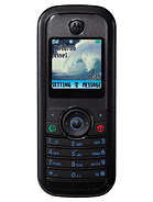 Best available price of Motorola W205 in Italy