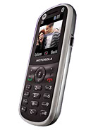Best available price of Motorola WX288 in Italy