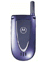 Best available price of Motorola V66i in Italy